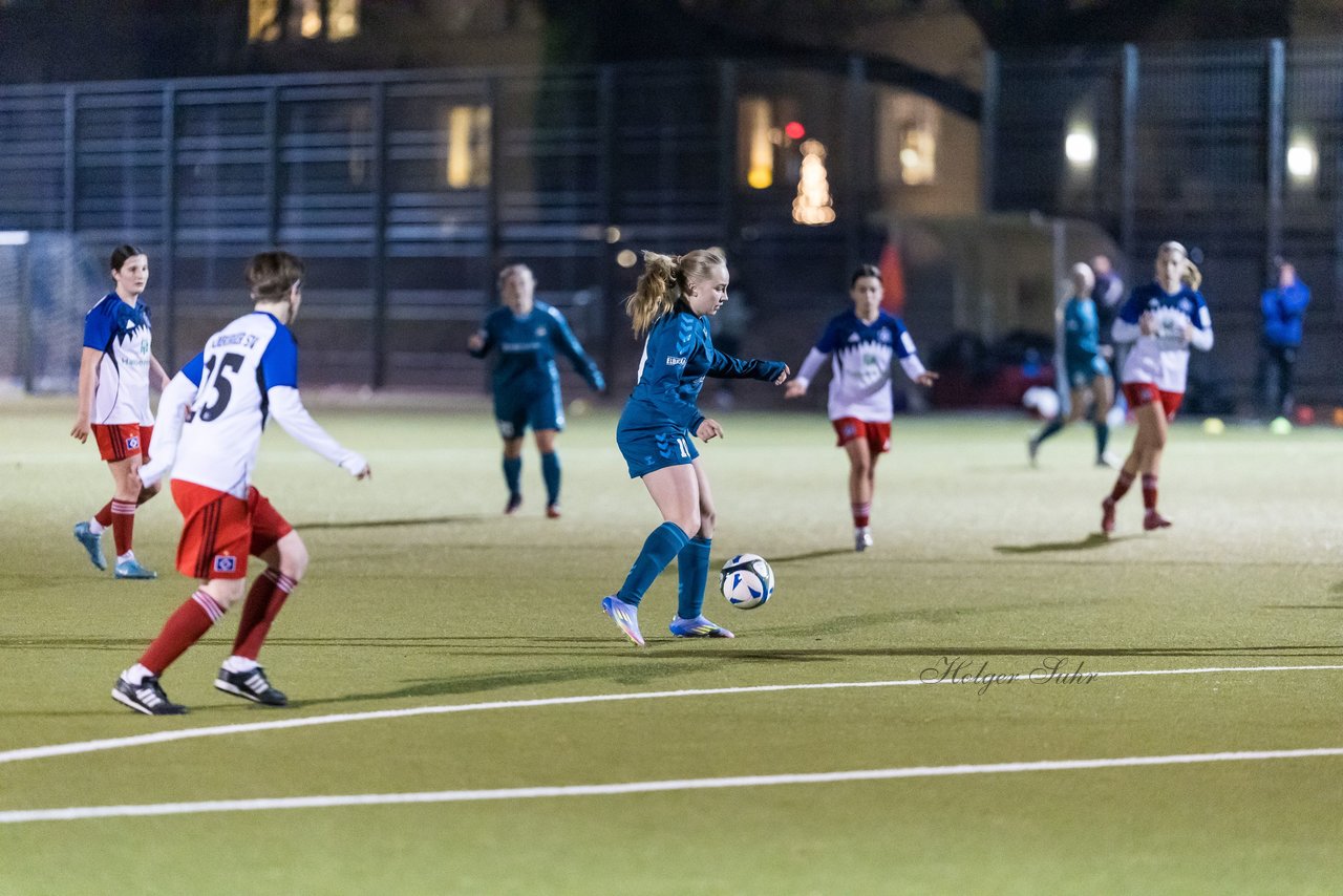 Bild 184 - F SC Alstertal-Langenhorn - Hamburger SV 3 : Ergebnis: 2:2